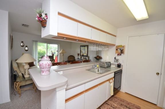 Kitchen With Granite Counter Tops at River Park Place Apartments, Florida, 32962