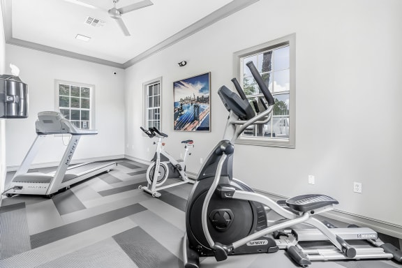 Fitness room with strength and cardio equipment, windows, and a ceiling fan.