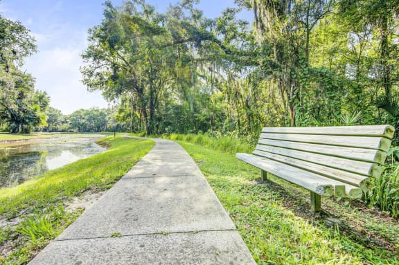 Waterfront Walkway with Bench Shaded by Trees