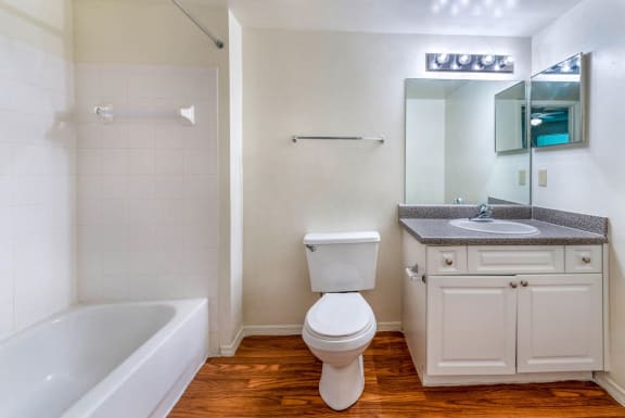 Bathroom with White Cabinets Grey Counter Mirrored Medicine Cabinet and Hardwood Style Flooring