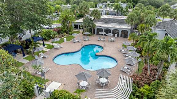 A large outdoor swimming pool surrounded by lounge chairs and umbrellas.