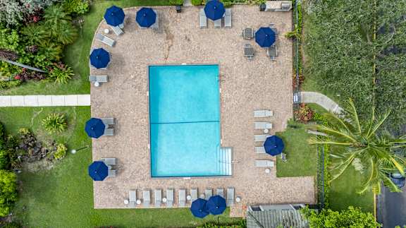 An aerial view of a pool surrounded by chairs and umbrellas.