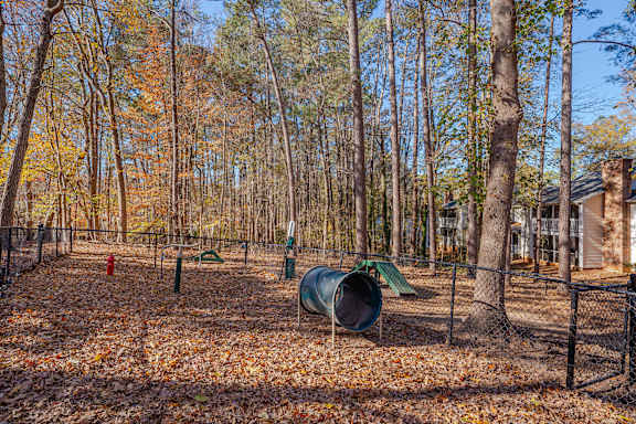 dog park with course equipment