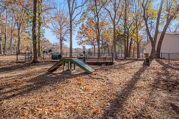 dog park with course equipment