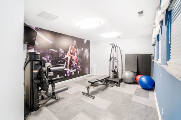 Fitness center with weighted equipment and large mural