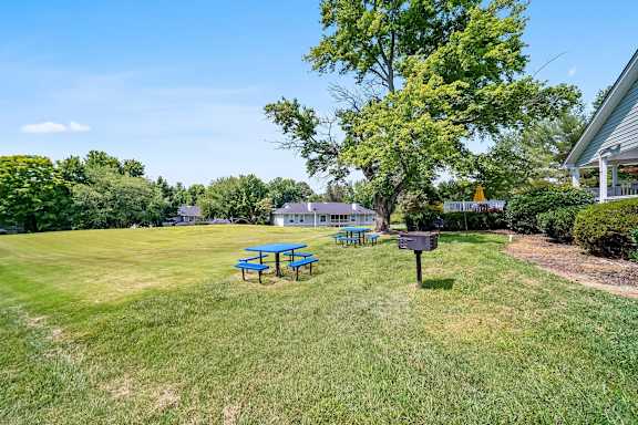 Picnic And BBQ at Brandemere Apartment Homes, Winston Salem