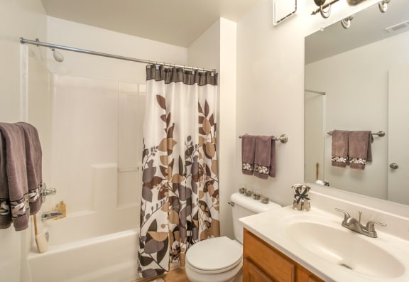 a bathroom with a shower toilet and sink