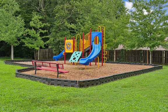 A playground with trees in the background