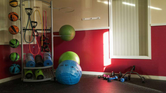 Fitness center with yoga balls, medicine balls, yoga mats, small free weights, and resistance bands