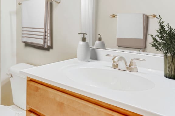 a bathroom with a sink and a toilet
