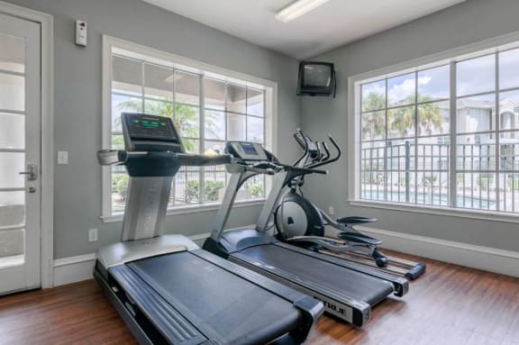 Bright Cardio and Fitness Center with Large Windows