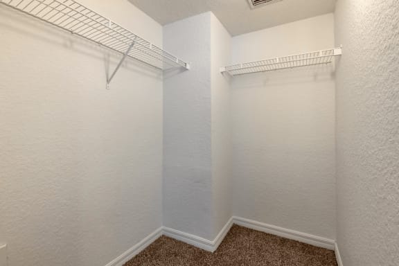 Spacious walk-in closet