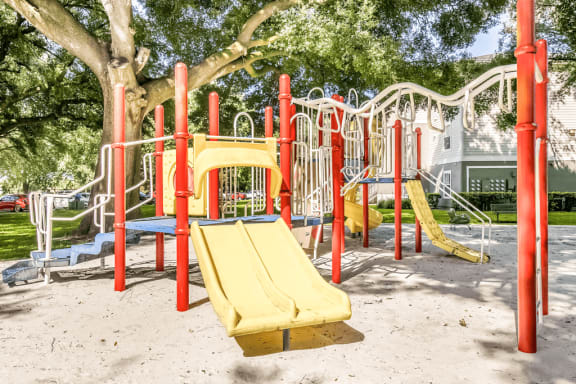 Playground with multiple slides, monkey bars and surrounding native landscape
