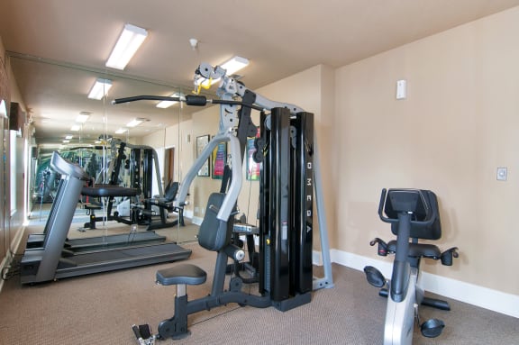 Fitness Center with Exercise Equipment