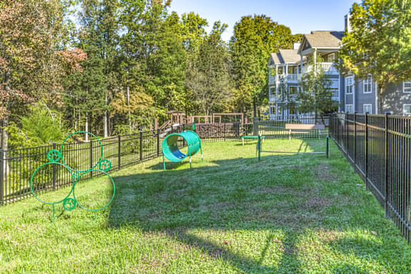 our apartments showcase a dog park with a playground