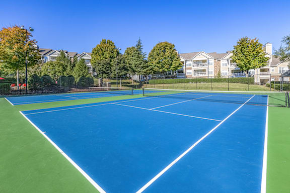 a blue and green tennis court with trees in the background