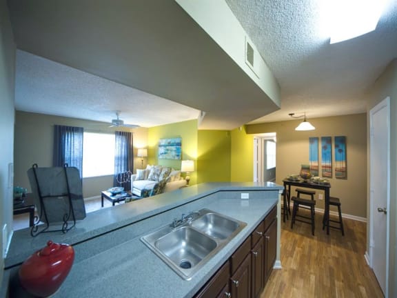 Double Stainless Steel Sink at Leigh Meadows Apartments, Jacksonville, Florida