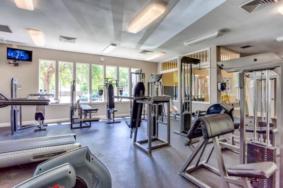 Fitness Center Weight Training Equipment