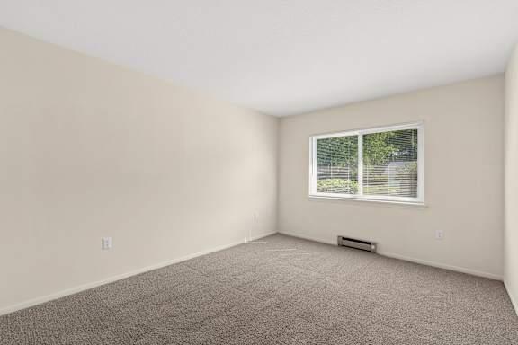A room with a window and a carpeted floor.