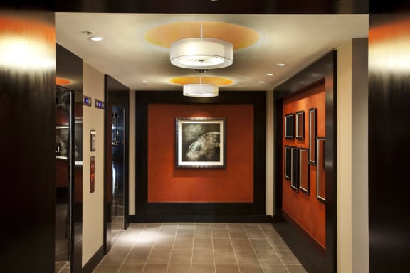 Elevator corridor with two elevators in hallway, Orange and wood accent walls with multiple artwork pictures
