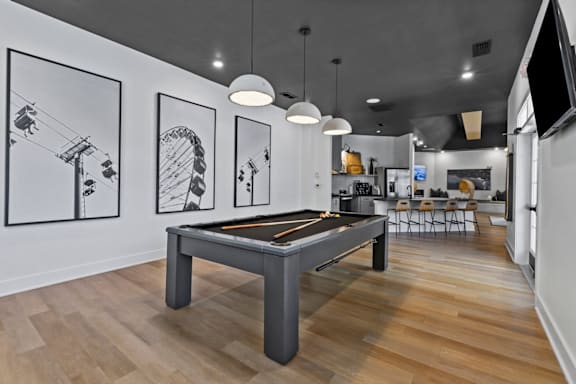 A room with a pool table and a television at Litchford 315 Apartments, North Carolina