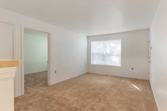 Carpeted Bedroom with Window