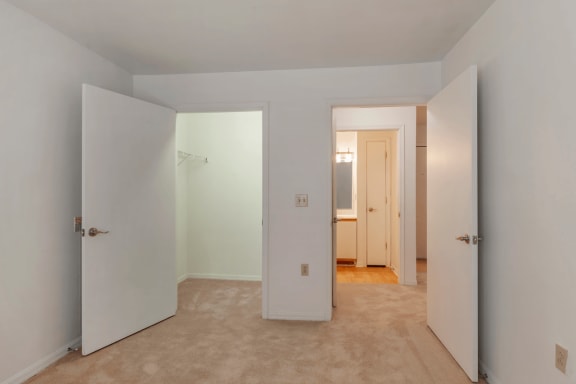 Carpeted Bedroom with Walk in Closet