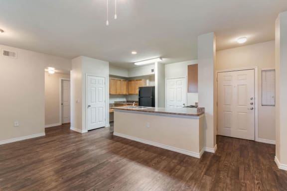 Kitchen with Hardwood Style Flooring