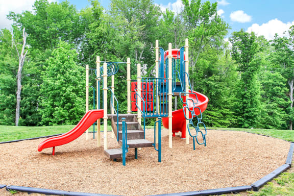 Playground jungle gym and playground slides in a bed of mulch with trees in background