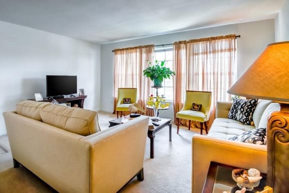 Carpeted Model Living Room with Decorations Chairs Couches and TV on Entertainment  Cabinet