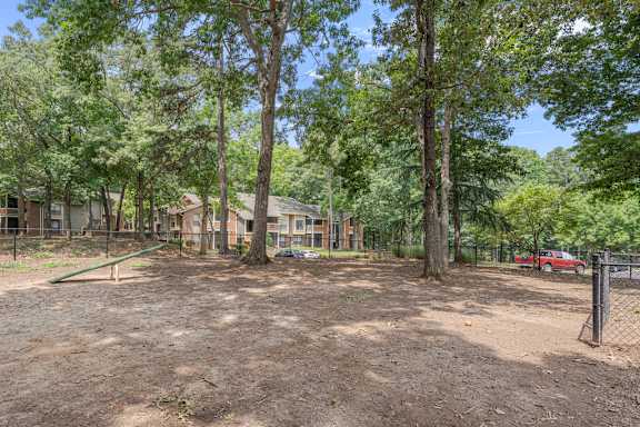 A dirt area with trees and a fence in the background.