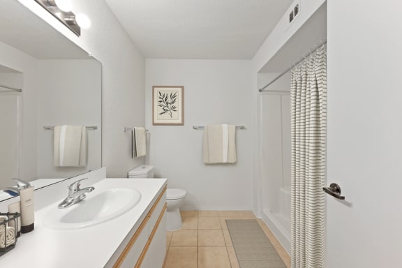 a bathroom with a sink toilet and shower