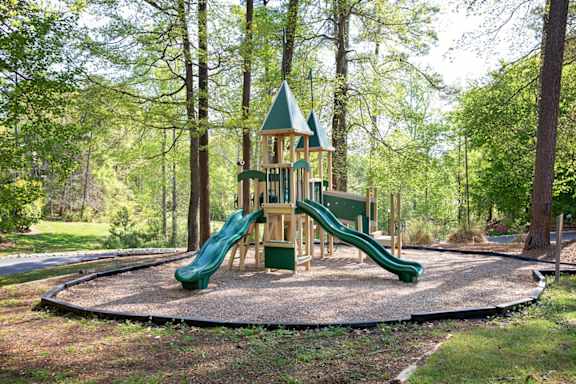 playground with trees in the background