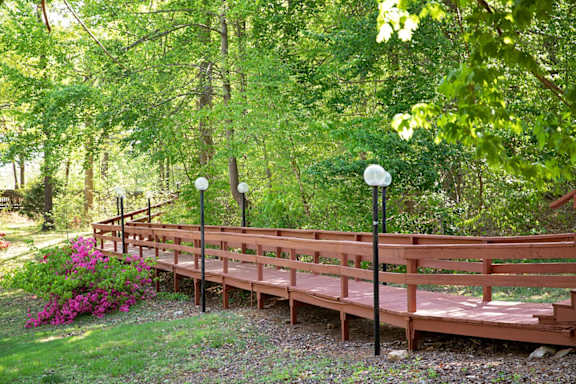 A wooden bridge in a lush green forest.