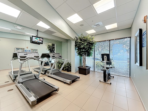 A gym with treadmills, exercise bikes, and a television.