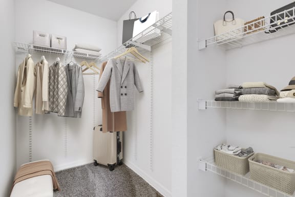 a walk in closet