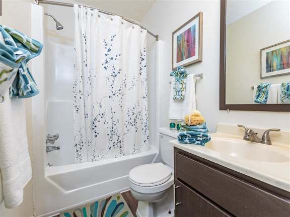 Model Bathroom with Soaking Style Tub at Regency Park Apartment Homes, Raleigh, NC