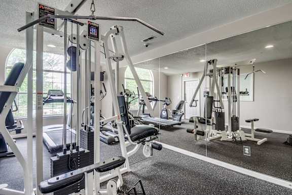 A gym with a variety of equipment including a treadmill, weights, and a bench press.