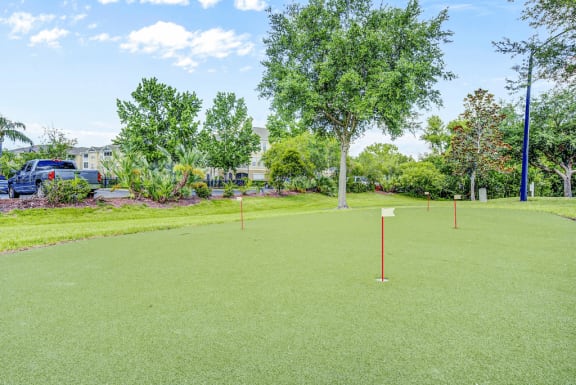 Outdoor putting green with artificial turf  and multiple flag holes. with native surrounding landscape