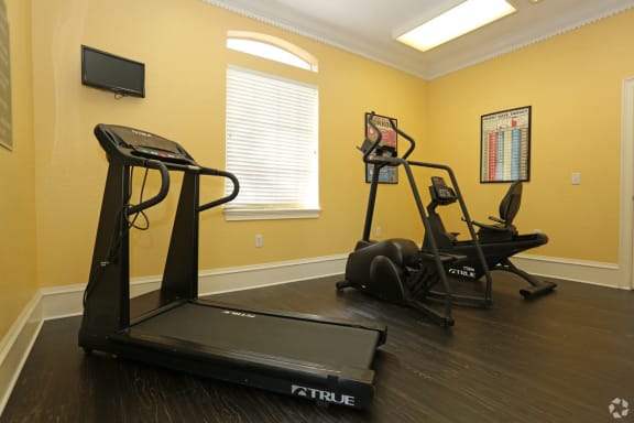 Bright Fitness Center with WIndows and Exercise Equipment
