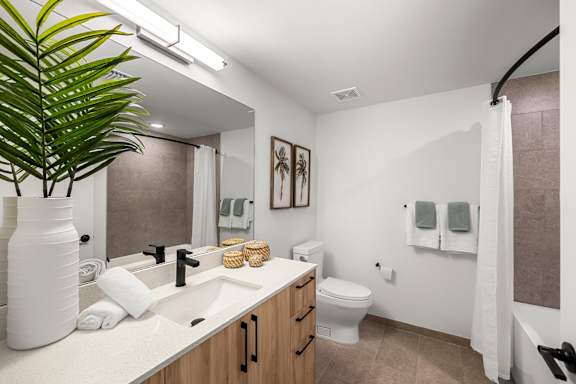 a bathroom with a sink and a toilet and a mirror