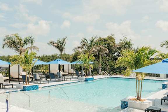 a swimming pool with palm trees