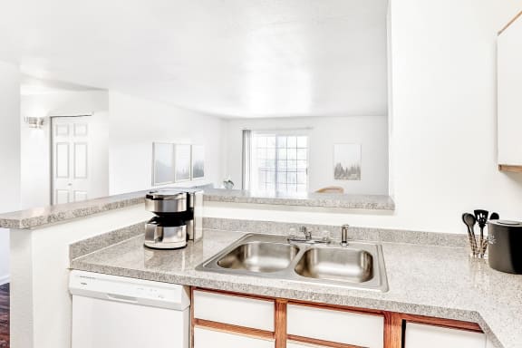 Kitchen with Double Basin Sink, Grey Counters and Breakfast Bar