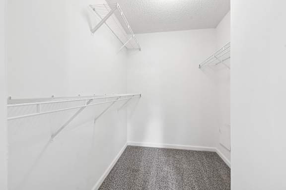 A white closet with a grey carpet.
