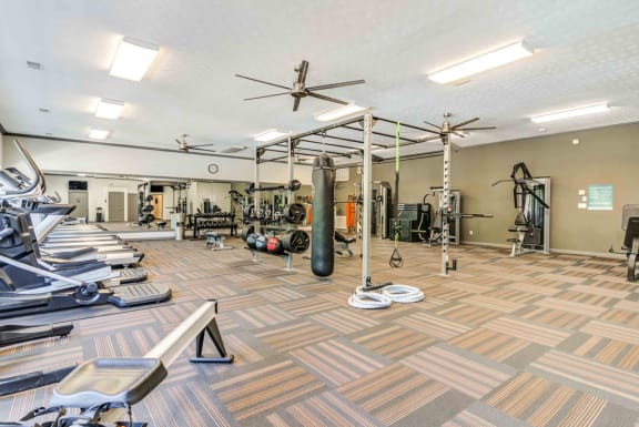 a spacious fitness center with weights and cardio equipment