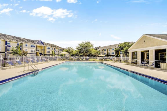 Swimming pool with lounge seating surrounded by native landscape