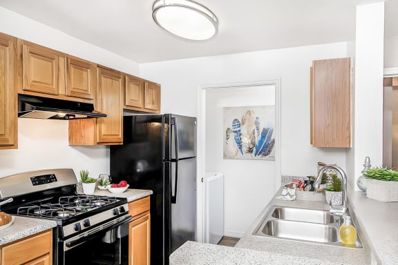 Kitchen with wood cabinetry, breakfast bar, double sinks, and stainless appliances.
