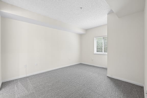 A spacious room with a window and carpeted floor.