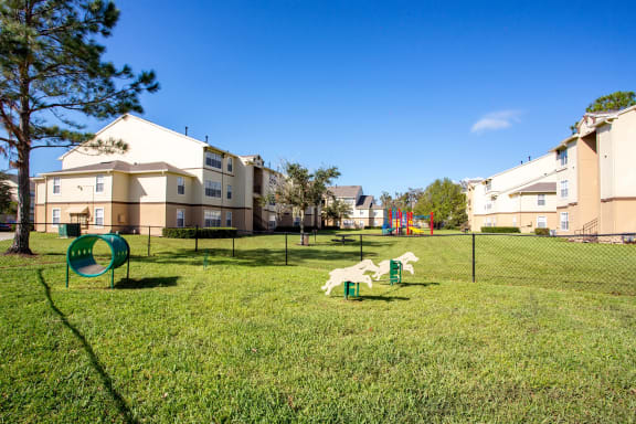 Dog Park