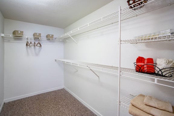 Master walk in closet and wire shelving